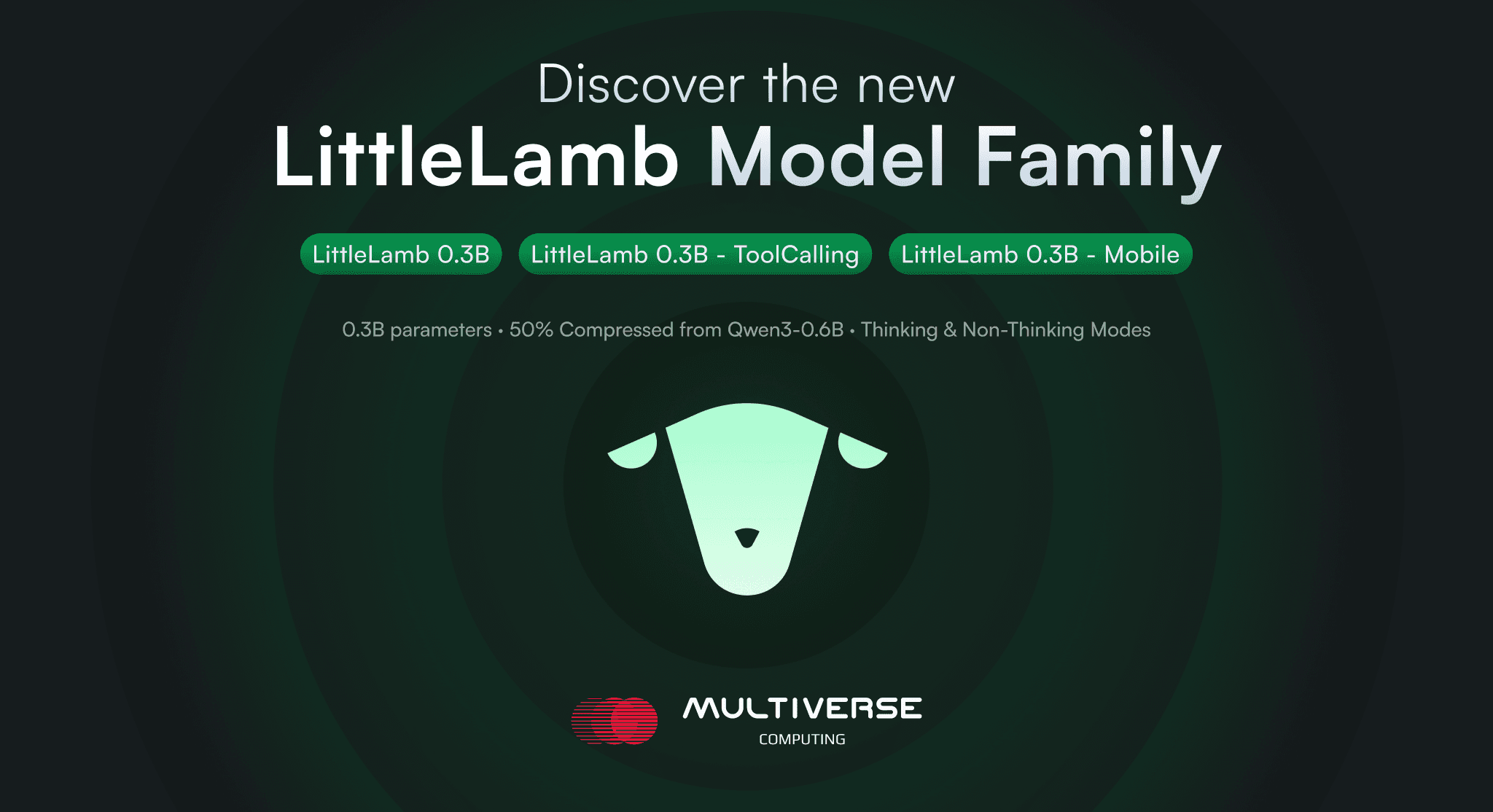 Introducing the LittleLamb 0.3B Model Family